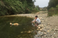 Ana loves her river walks - dogs for adoption SOS Animals Spain