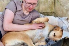 Brian loves lying in his bed receiving cuddles from our volunteers - dogs for adoption SOS Animals Spain