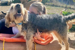 Eldan looking happy and smiling with a volunteer - dogs for adoption SOS Animals Spain