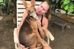 Erik loves sitting on the laps of our volunteers - dogs for adoption SOS Animals Spain