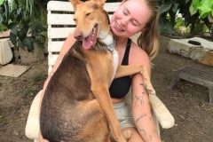 Erik enjoying cuddles with our volunteer - dogs for adoption SOS Animals Spain