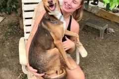 Erik having a fuss with our volunteer - dogs for adoption SOS Animals Spain