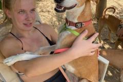 Macarena enjoying a cuddle with our volunteer - dogs for adoption SOS Animals Spain